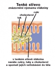 Vláknina a dieta