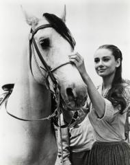 Audrey - milovala život, lidi i zvířata
