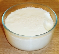 Jak vyrobit domácí jogurt?