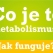 Matabolismus je látková a energetická přeměna která zahrnuje všechny biochemické procesy v lidském těle.

=== Bazální metabolismus ===
Bazální - základní, nebo chcete-li klidový, metabolismus tvoří až 70 % denního energetického výdeje. Tuto energii spotřebuje naše tělo pro správný chod organismu. Spotřeba energie se mění v návaznosti na pohlaví, hmotnost, výšku a věk. V úvahu je třeba brát i těhotenství, kojení, rodinné genetické dispozice a případně i nějaké onemocnění.

Průměrná hodnota základního metabolismu:
Ženy: 1500 kcal (6300 kJ)
Muži: 1700 kcal (7140 kJ)

=== Metabolismus při trávení potravy ===
10 % celodenního energetického výdeje spotřebuje naše tělo také při trávení a zpracování přijaté potravy. Jezte proteiny. Při trávení a zpracování libového masa spotřebuje naše tělo více energie než při zpracování tučných sladkých jídel.

=== Metabolismus při pohybových aktivitách ===
Tato složka energetického výdeje je asi nejvíce variabilní. Pohybuje se od 10 % u neaktivních lidí až po 50 % u sportovců. Pokud chceme hubnout tato složka matabolismu je pro nás velmi důležitá. Navíc i po intenzivním kardio cvičení (cvičení při kterém se spotíte), které trvá 45 minut zůstává metabolismus zrychlený až 12 hodin i po skončení cvičení.

=== Energetický příjem z potravy ===
Výše vhodného energetického příjmu z potravy je závislá na vaší pohybové aktivitě. Větší pohybová aktivita = můžete si dovolit větší příjem energie z jídla. Tato hodnota se přičítá k hodnotě energie bazálního metabolismu.

=== Jak zrychlit metabolismus ===
Snídejte celozrnné pečivo a cottage, nebo si najděte ovesné vločky, které vám budou chutnat.
Jezte zdravě a pravidelně (minimálně 5 x denně)
Pravidelně pijte vodu (2 l)
Pravidelně cvičte, spálíte tuky, vytvoříte si svalovou hmotu, více svalů = rychlejší metabolismus
Dopřejte si dostatek spánku